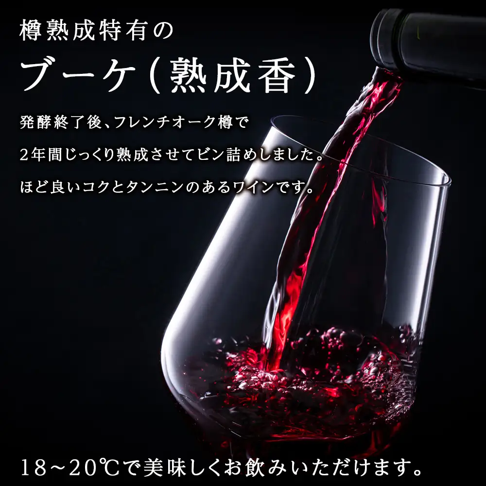 十勝ワイン シャトー十勝 2004 準グレートビンテージ 720ml 北海道池田町 ビンテージ 赤ワイン 数量限定 ヴィンテージ