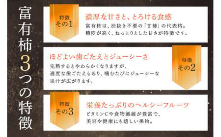 【2026年 先行予約】八郷柿出荷組合の 富有柿 3L（二段 22～24玉）柿 皇室献上柿 かき 富有カキ 果物 フルーツ くだもの カキ 富有かき 秋 旬 高級 糖度 贈答用 贈答品 ギフト 贈り物 品種 ブランド 11月 12月 発送 産地直送 農家直送 産直 茨城県 石岡市 (A21-001)