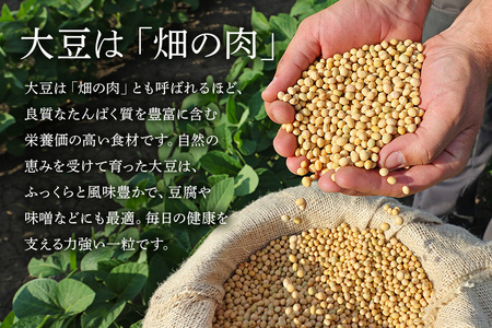極小粒　大豆 30kg  岡田ファーム だいず ダイズ 国産 小粒 大容量 料理 煮豆 豆乳 納豆 用途多彩 健康食品 高たんぱく 保存食 産地直送 送料無料 (B02-026)