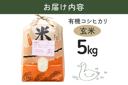 【令和7年産】有機 コシヒカリ 玄米 5kg 有機栽培 有機米 特別栽培米 合鴨農法 こしひかり お米 米 おこめ ブランド米 こしひかり 5キロ 国産 単一原料米 コメ こめ ご飯 銘柄米 茨城県産 茨城 産直 産地直送 農家直送 ごはん 家庭用 贈答用 茨城県 石岡市 (B03-003)