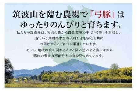 【冷蔵・金曜発送】 弓豚 しゃぶしゃぶ セット 1.2kg 豚肉 和豚 銘柄豚 ロース バラ モモ しゃぶしゃぶ用 肉 スライス 国産 高品質 希少 産地直送 ヘルシー 鍋料理 家庭用 ギフト 冷蔵 【先行予約 2026年3月以降発送予定】 (C01-003)