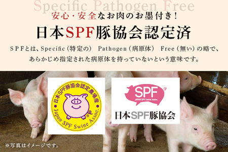 弓豚 ミンチ こま切れ セット 2.6kg 豚肉 和豚 銘柄豚 肉 粗挽き 国産 高品質 希少 産地直送 ヘルシー 家庭用 ギフト 冷凍 【先行予約 2026年3月以降発送予定】 (C01-006)