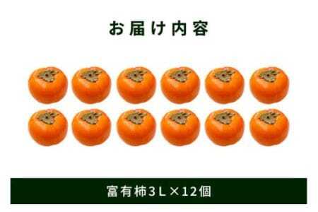 【 2026年 先行予約 】 富有柿 3L 12玉 1段箱 坂川果樹園 柿 甘い柿 大玉 かき 富有カキ 甘い 果物 フルーツ くだもの カキ 富有かき 秋 旬 甘柿 糖度 贈答用 贈答品 ギフト 贈り物 品種 ブランド 11月 12月 発送 産地直送 農家直送 産直 茨城県 石岡市 (A20-003)