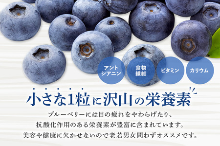 ブルーベリー 1680g ( 280g 6パック ) 生 手摘み 新鮮 完熟 冷蔵 農薬 栽培期間中 不使用 果物 フルーツ 国産 産地直送 農家直送 産直 夏 7月 8月 発送 くだもの アントシアニン 茨城 茨城県 石岡市 (F09-001)
