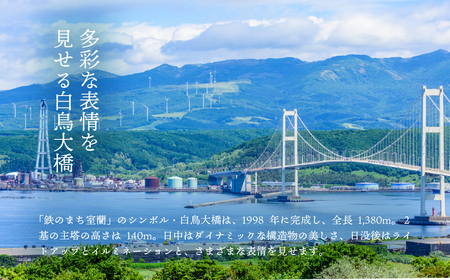 白鳥大橋主塔登頂クルーズ 標準コースチケット 大人1名様　 MROX007