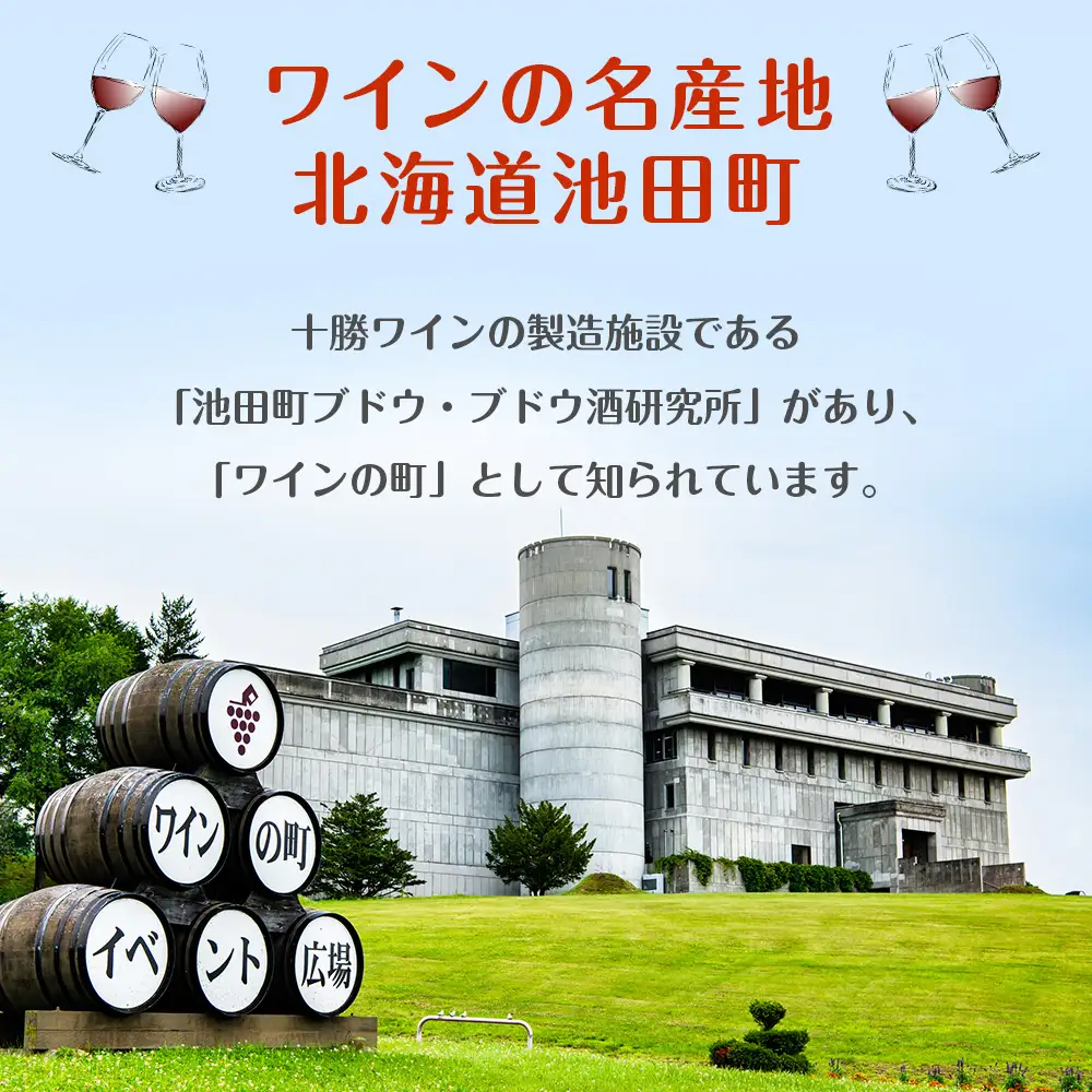 北のサングリアサワー 赤ワインベース 24本 サングリア ワイン サワー 酒 セイコーマート セコマ Secoma 池田町 北海道 酒 リキュール