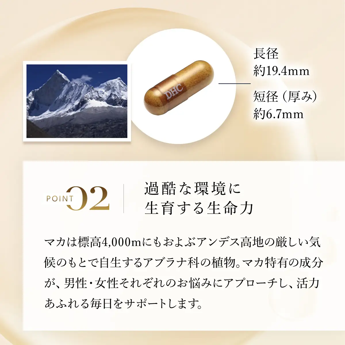 75909_DHC マカ 30日分 2個セット（60日分） MBB024