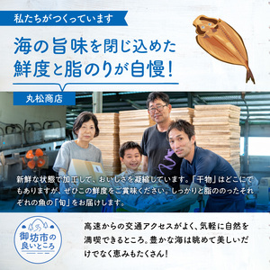 【1180】【国産】紀州特産干物詰合せ　大セット