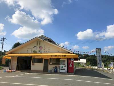 大原観光果樹園 桃狩り体験チケット1人（桃お土産付き）