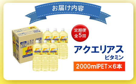 【定期便：全5回】アクエリアス ビタミン 2LPET×6本【38008901】