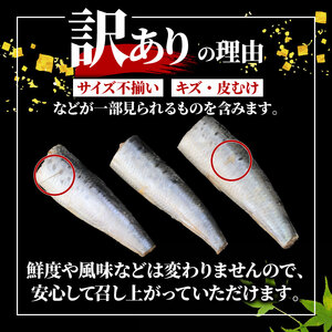 いわし ドレス 約3kg 無塩 【 訳あり 】