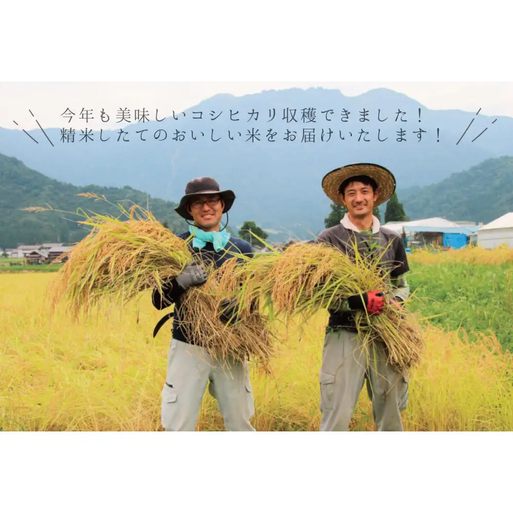 【令和７年産】南魚沼産コシヒカリ 無洗米４kg（２ｋｇ×２）【５割減農薬栽培米】城内農産【銘柄米 ブランド米 無洗米 こしひかり コシヒカリ 魚沼産 新潟米 産地直送 お米 米 こめ コメ ご飯 御飯 ごはん】
