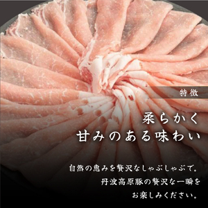 京丹波高原豚しゃぶしゃぶセット 黒豆ポン酢付き 500g×2種 1kg 豚肉しゃぶしゃぶ 豚肉バラ 豚肉ロース 豚肉おすすめ ブランド豚肉