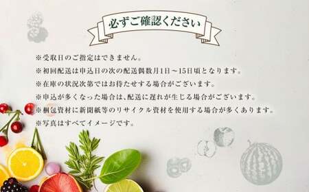 【年6回定期便（偶数月配送）】旬のフルーツ定期便 食べ比べセット 季節により厳選した果物を2品目詰め合わせ 果物 くだもの