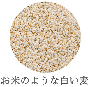 【はくばく】純麦 ８袋（１袋６００ｇ）　国産大麦 食物繊維 麦 むぎ むぎご飯 麦ごはん 麦ご飯 ファイバースノウ 白い麦