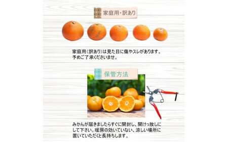 【家庭用】 はるみ 1kg+250g（痛み補償分）光センサー選別 / 訳あり 有田 みかん 柑橘 果物 フルーツ 和歌山 デコポン の姉妹品種 ※2月上旬～3月下旬頃に順次発送予定 ※北海道・沖縄・離島配送不可 【ikd013-c-1B】