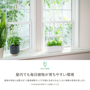 IZUMI　水耕栽培キット Hugvege　SA-H133A-W　（本体、培地スポンジ、液肥、ランダムタネ2種類）