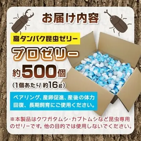 プロゼリー　約500個入り　_昆虫ゼリー 高タンパク 昆虫 飼育_【1201217】