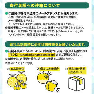 【令和8年産】さくらんぼ 紅秀峰　バラ詰め 1kg　Lサイズ以上　山形県鶴岡市　鶴岡中央青果　| サクランボ チェリー 山形 鶴岡 庄内産 東北 果物 くだもの フルーツ 1キロ 産地直送 甘い 完熟 旬の果物 果実 人気 美味しい お取り寄せ 返礼品