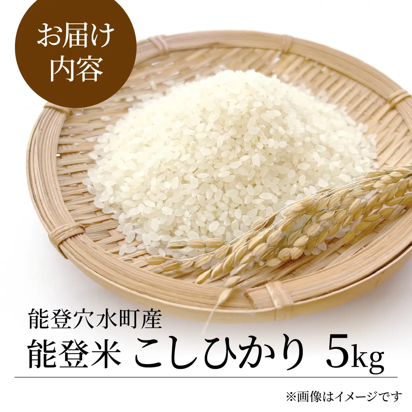 【先行予約】奥能登 穴水産 こしひかり 5kg  / コシヒカリ お米