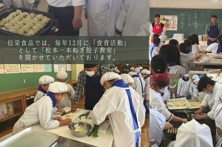 【定期便3回】【伝統野菜松本一本ねぎ使用】松本一本ねぎ餃子　20個入り×2 