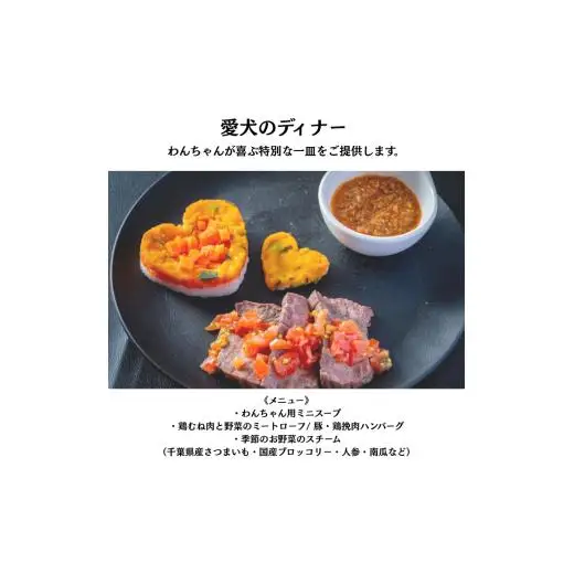 愛犬と癒しの旅　ナガラミリゾートSOSA ご宿泊利用券 9万円分 ／ 宿泊 宿泊券 リゾート ヴィラ ホテル 犬 ペット ドッグラン ドッグマッサージ 温泉 サウナ プール 旅行 リゾート旅