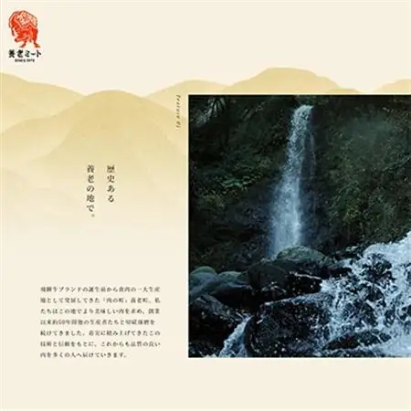 飛騨牛 モモブロック 300g×2個【配送不可地域：離島】【1622921】