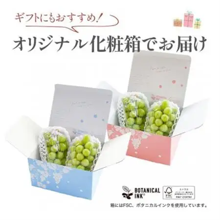 【数量限定】6月下旬～7月中旬発送ハウス栽培の『シャインマスカット』 2房　約1kg【配送不可地域：離島・沖縄県】【1041839】