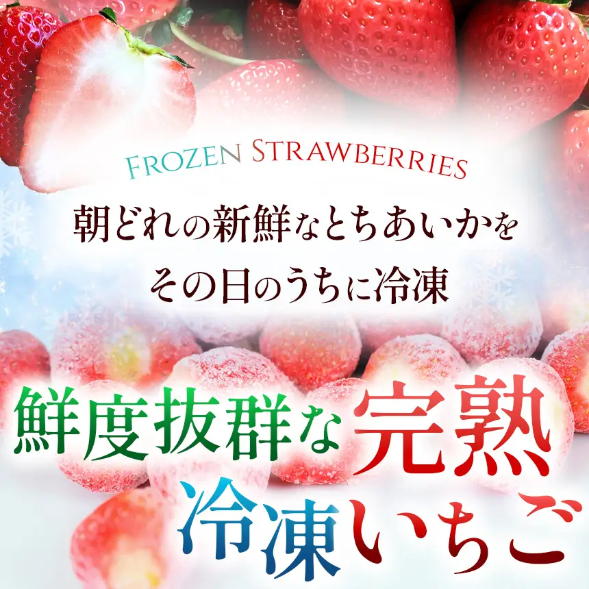 いちご 限定 訳あり 選べる 完熟 冷凍 とちあいか イチゴ  苺 フルーツ 果物 1kg 2kg 3kg 訳あり 不揃い | 選べる 冷凍  スイーツ ジャム スムージー たっぷり 大粒 甘い  デザート 人気急上昇 お買い得 栃木県 那珂川町 送料無料