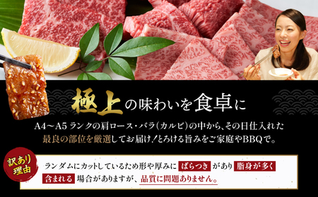 訳あり 佐賀牛焼肉切り落とし500g