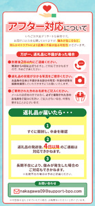 【栃木県共通返礼品】【先行予約】とちあいか 1160g | 栃木県 那珂川町