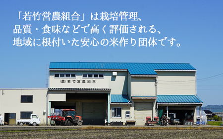 【R8年度産米 新米予約】 [人気のブランド米]富富富 「若竹のお米 」　20kg（5kg×4）【精米】｜新米 先行予約 令和8年産米 ブランド米 富富富 銘柄米 こめ 白米 富富富 ※離島への配送不可 ※2026年10月上旬～10月下旬頃に順次発送予定