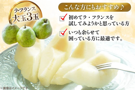 【期間限定発送】 ラ・フランス 山形県 3L?4L 3玉 約1kg [三鷹洋梨園 山形県 高畠町 tk06ays910004]
