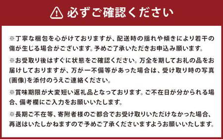 【大人気！】 びわ L＆Mサイズ おまかせ 計3箱 【2026年5月上旬～6月上旬迄発送予定】 枇杷 果物 果実 フルーツ 九州 長崎県 長崎市 常温