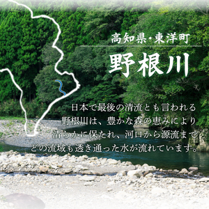 【先行予約】【令和8年度産】野根川米20kg（20kg×1袋）MZ003