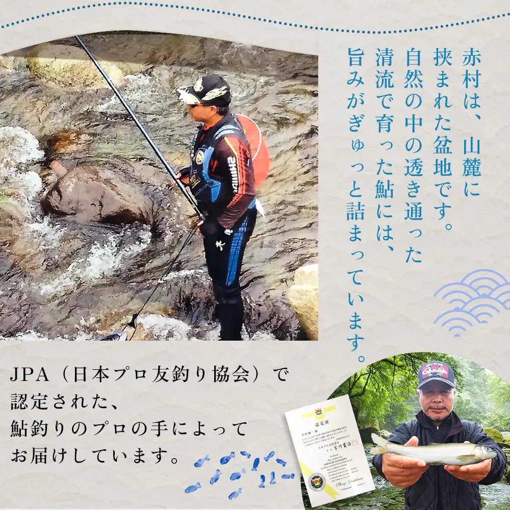 冷凍鮎　約300g 3E4