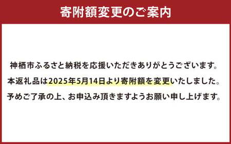 【12ヶ月定期便】濃厚プレミアム！！吉原たまご2箱 30個入り×2箱 計60個（54個＋割れ保証6個） 卵 たまご