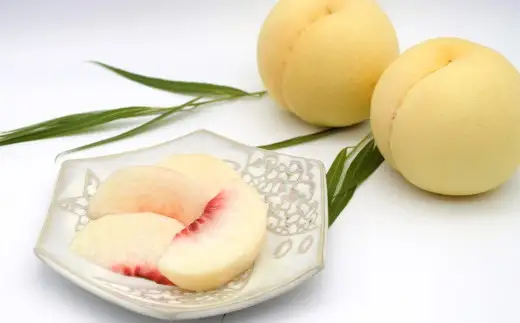 【ご家庭用】 岡山白桃 4~5玉 計約1.2kg 【2026年6月下旬～7月下旬発送予定】 ／ 白桃 桃 もも モモ