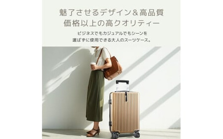 スーツケース　L　ゴールド　【11100-1631-16】
