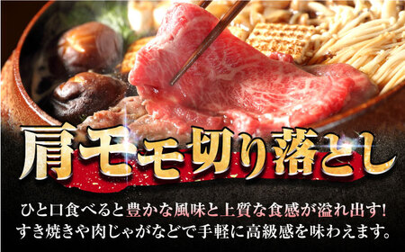 佐賀牛 肩・モモ切り落とし 500g きりおとし A4 A5[FDP019]