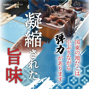 【父の日ギフト】国東半島の天然地だこ三味セット/計400g_2557R