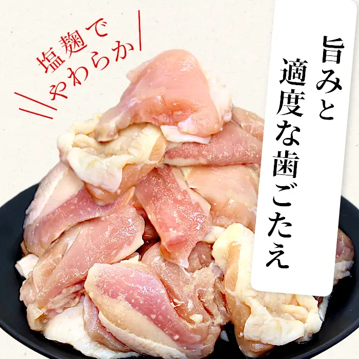 奥三河どり使用！ 田口塩鶏 味付け むね肉 500g 塩ダレ ムネ肉 味付け肉 鶏肉 鶏 肉 キャンプ バーベキュー 味付け肉 大容量 手軽 焼くだけ 地鶏 焼肉 焼き鳥 -175