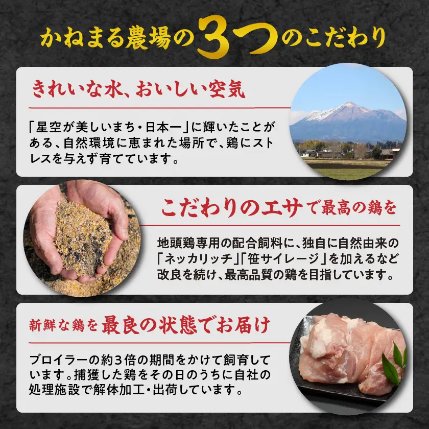 かねまる農場のみやざき地頭鶏1羽まるごとセット〔17-J7-009〕_(都城市) 真空パック 地頭鶏 じとっこ 1羽まるごと 平飼い飼育 みやざき地頭鶏 地鶏 1羽 モモ肉 ムネ肉 ササミ 手羽先 手羽元 砂肝 レバー ガラ