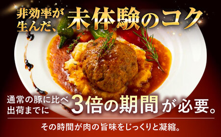 ソーセージ ハンバーグ 『命豚ソーセージ4種＆命豚ハンバーグ2種セット』  BCAR002 豚肉