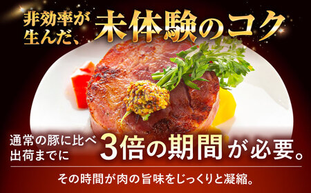 『NUCHIBUTA Cセット』 豚肉 ポーク ステーキ ハンバーグ ソーセージ ベーコン ハム 詰め合わせ  BCAR005 