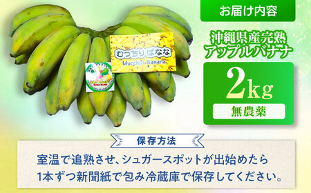 【2026年発送】沖縄県産 アップルバナナ 2kg  BCBH001