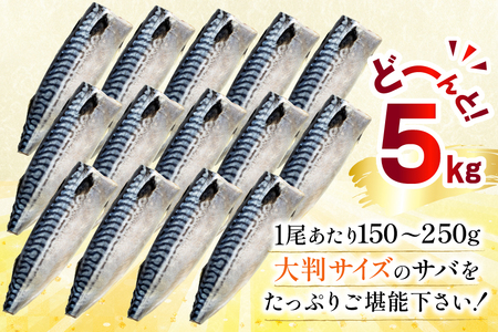 訳あり 塩サバ フィレ 5kg [足利本店 宮城県 気仙沼市 20565496]
