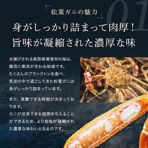 【蟹セレブ】タグ付き活〆ボイル・松葉がに（大・800ｇ前後）