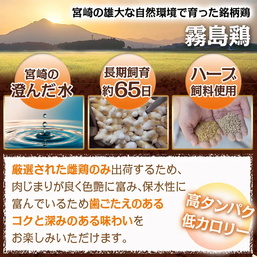 霧島鶏生ハムセット(100g×3パック)〔LE-G301〕_(都城市) 霧島鶏生ハム 霧島鶏 生ハム むね肉 やさしい塩味 香ばしいスモークの香り ヘルシー サラダ パスタ