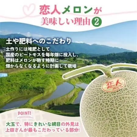 【先行受付】甘い!赤肉 稀少な上田農園の「恋人メロン」 計2.8kg以上(2玉～3玉)_高級 フルーツ 贈答 ギフト_【1623920】
